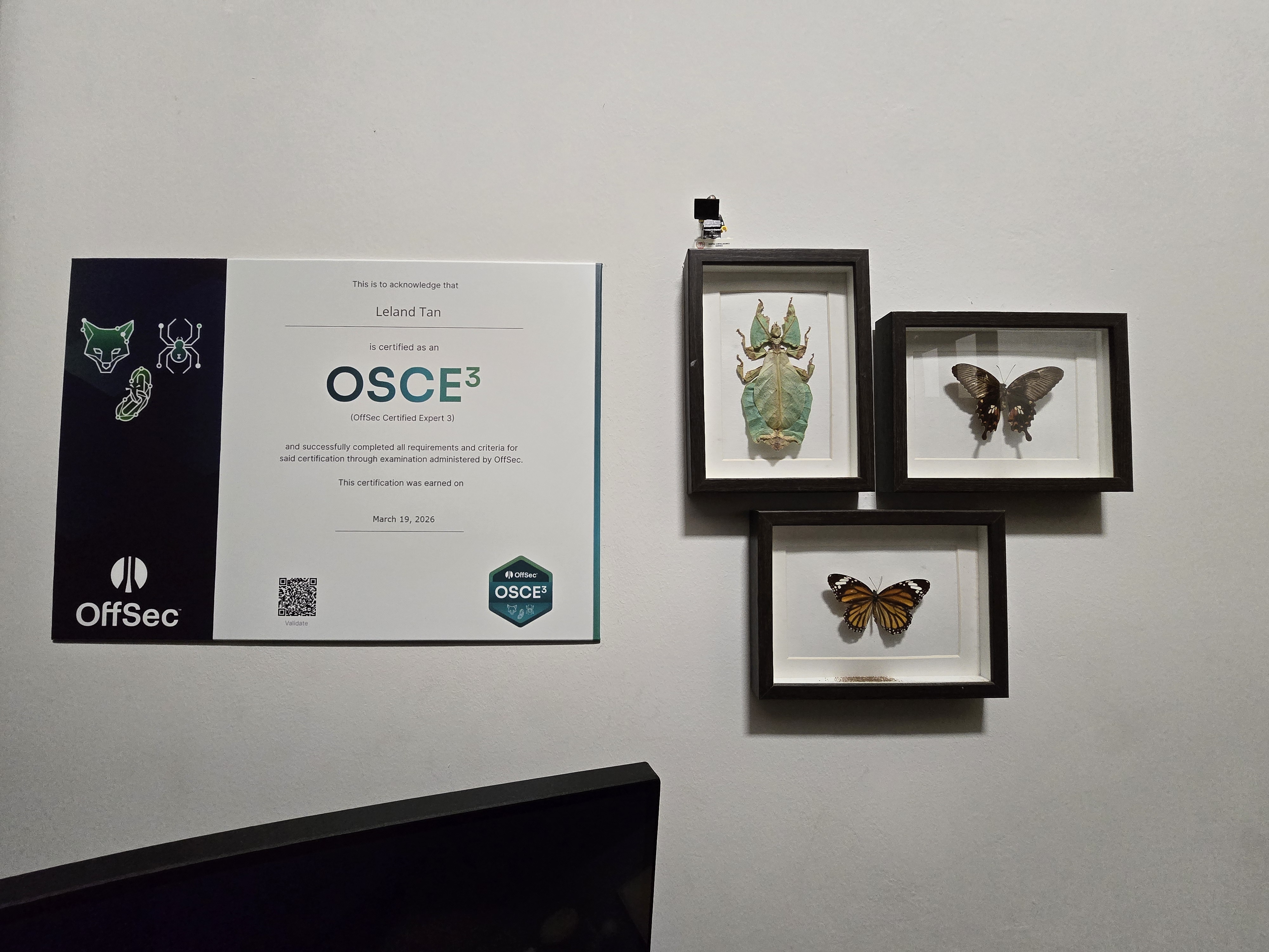 osce3_displate.jpg